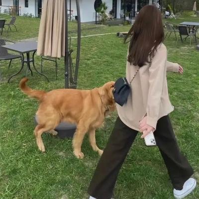 潮汐首映·前传